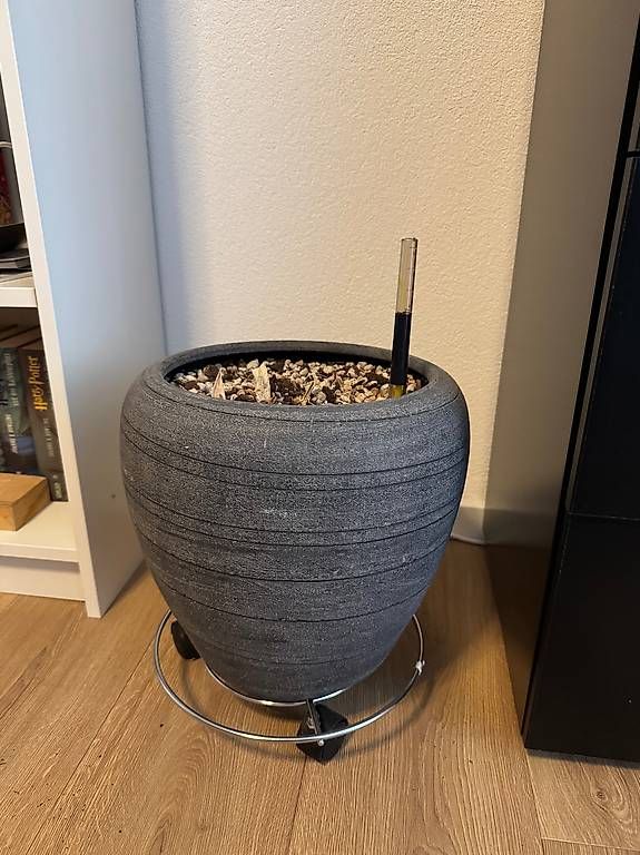Vasi per fiori: Dekorative Indoor-Pflanzentöpfe – Usato da Liebefeld venduto da Anshalina
