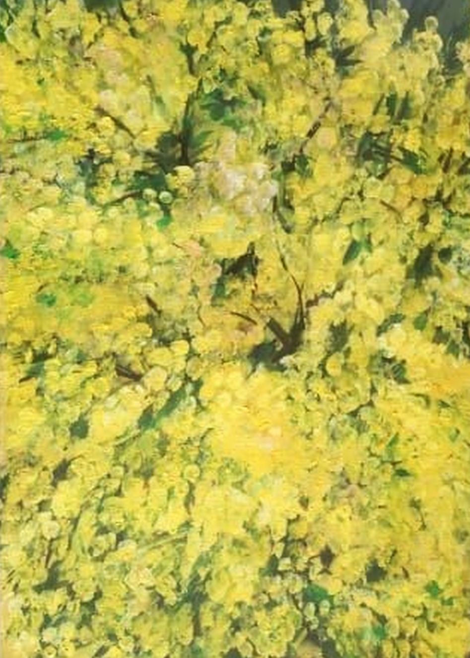 Tableaux: FLORA : Mimosa en fleurs – D'occasion à Petit-Lancy par kine 1