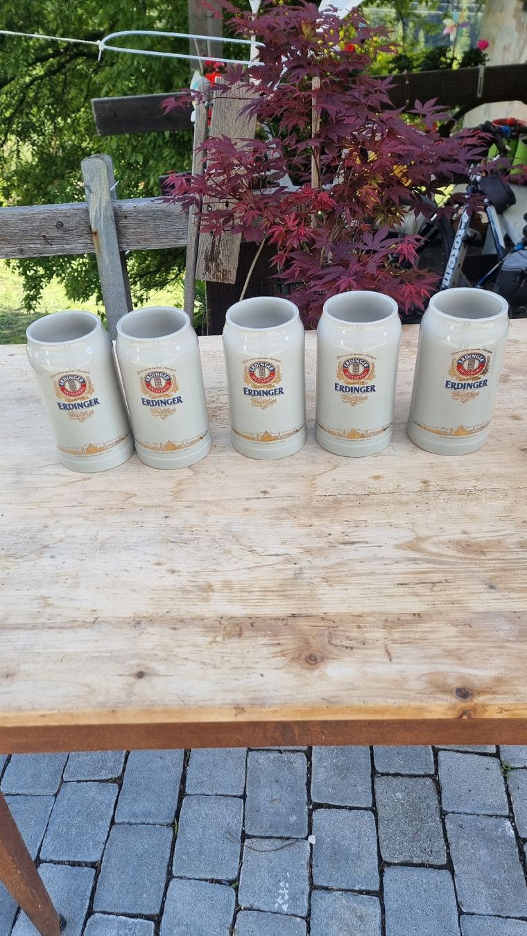 Erdinger Bicchieri: 5 Bierhumpen Erdinger – Usato da Sils im Domleschg venduto da platin01