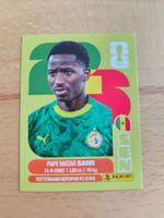 Panini WM 2026 SEN 10
