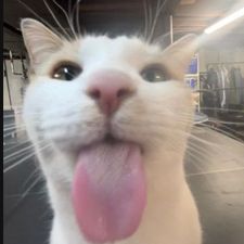 Profile image of gab_g96t