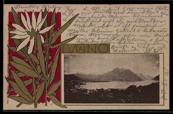 Ansichtskarten: Lugano, Ortspanorama im Blumen-Passepart – Gebraucht aus Berlin von bartko-reher