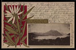 Lugano, Ortspanorama im Blumen-Passepart