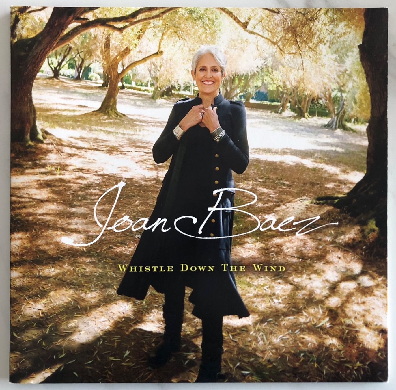 Dischi in vinile: JOAN BAEZ - WHISTLE DOWN THE WIND – Usato da Poliez-Pittet venduto da Newtown-Records