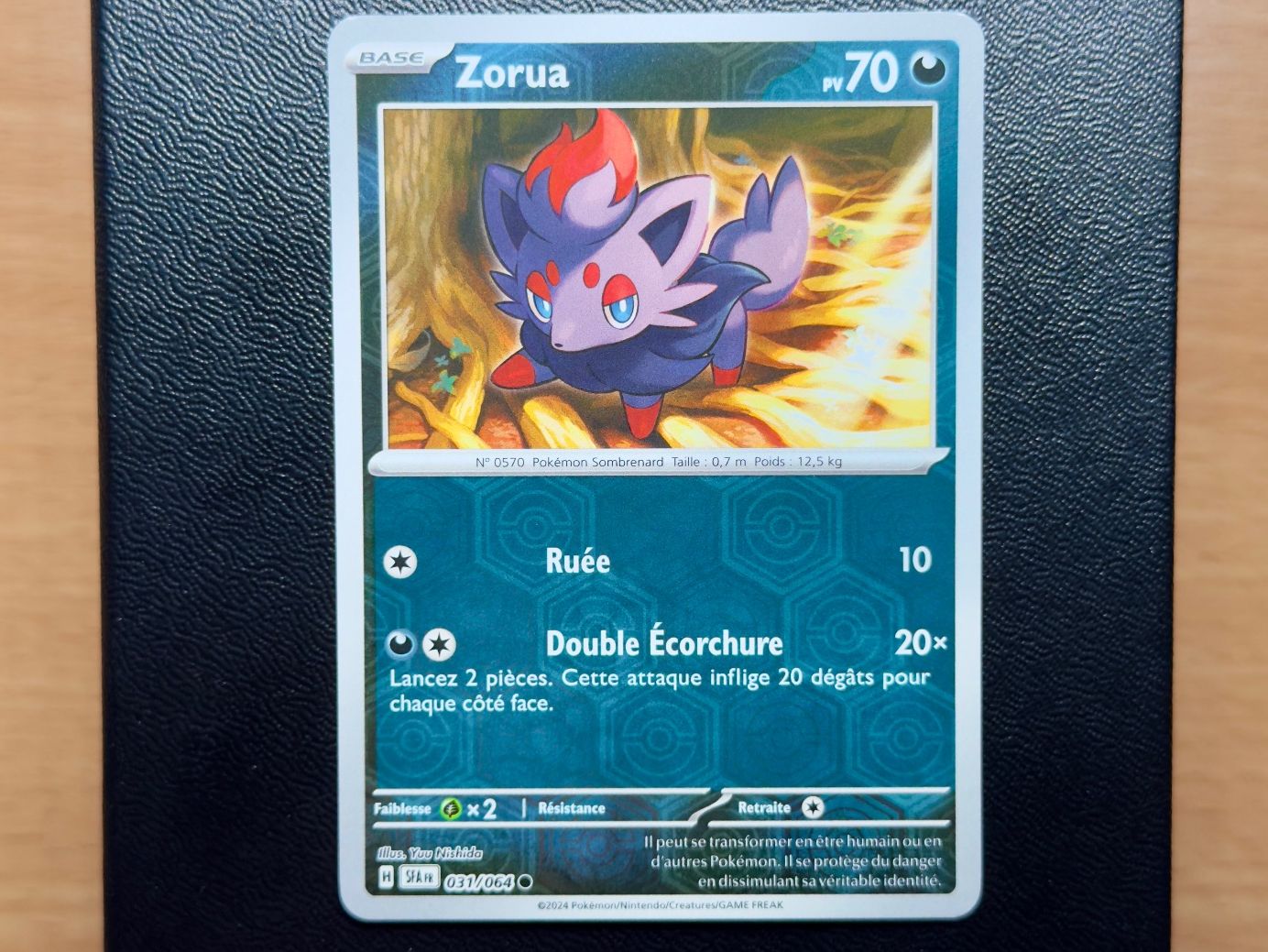 Pokémon Carte collezionabili: Zorua REVERSE (031/064) - Fable Nébuleuse - SFA FR – Usato da Chézard-St-Martin venduto da Kro_Cards
