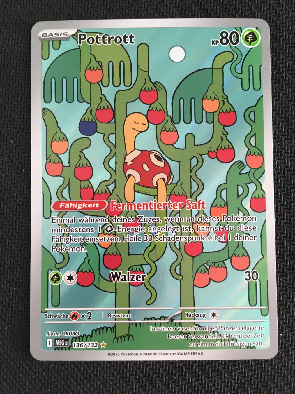 Pokémon Carte collezionabili: Pokémon - MEG 136 Pottrott - Mega-Entwicklung -DE- – Nuovo (secondo la descrizione) da St.Gallen venduto da Punktchen01