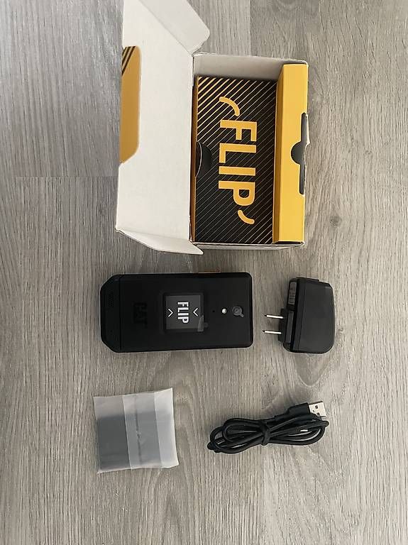 Placchette & Badge: CAT S22 Flip in Schwarz – Usato da Bürglen TG venduto da mat_8tyc