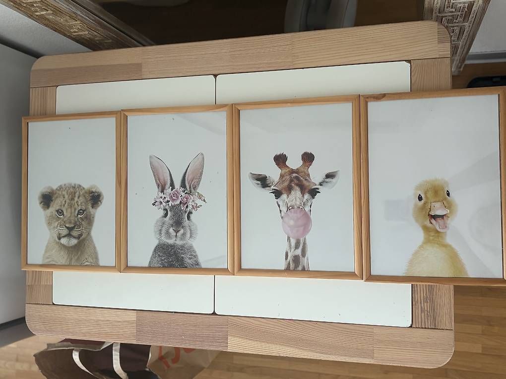 Posters & Illustrations: Wanddeko, Tierportrait 4er Set mit Eichenrahmen – D'occasion à Schlieren par var_dms8