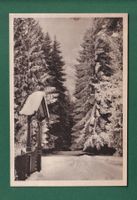 KÖNIGSFELD - Doniswald