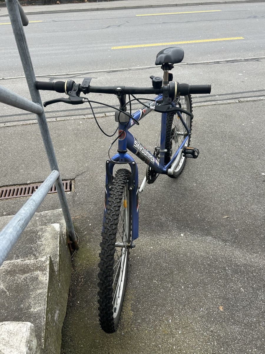 Biciclette: Velo 6 Gänge – Usato da Ebikon venduto da StivaQ 1