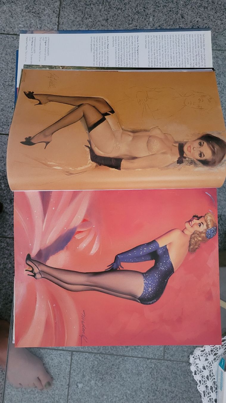Libri: The Great American Pin-Up Buch  – Usato da Horgenberg venduto da Klatschmohnmaria 2