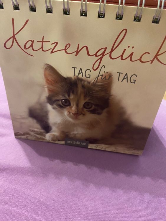 Katzenglück auf Papier: Ausmalbilder, die Freude bringen!