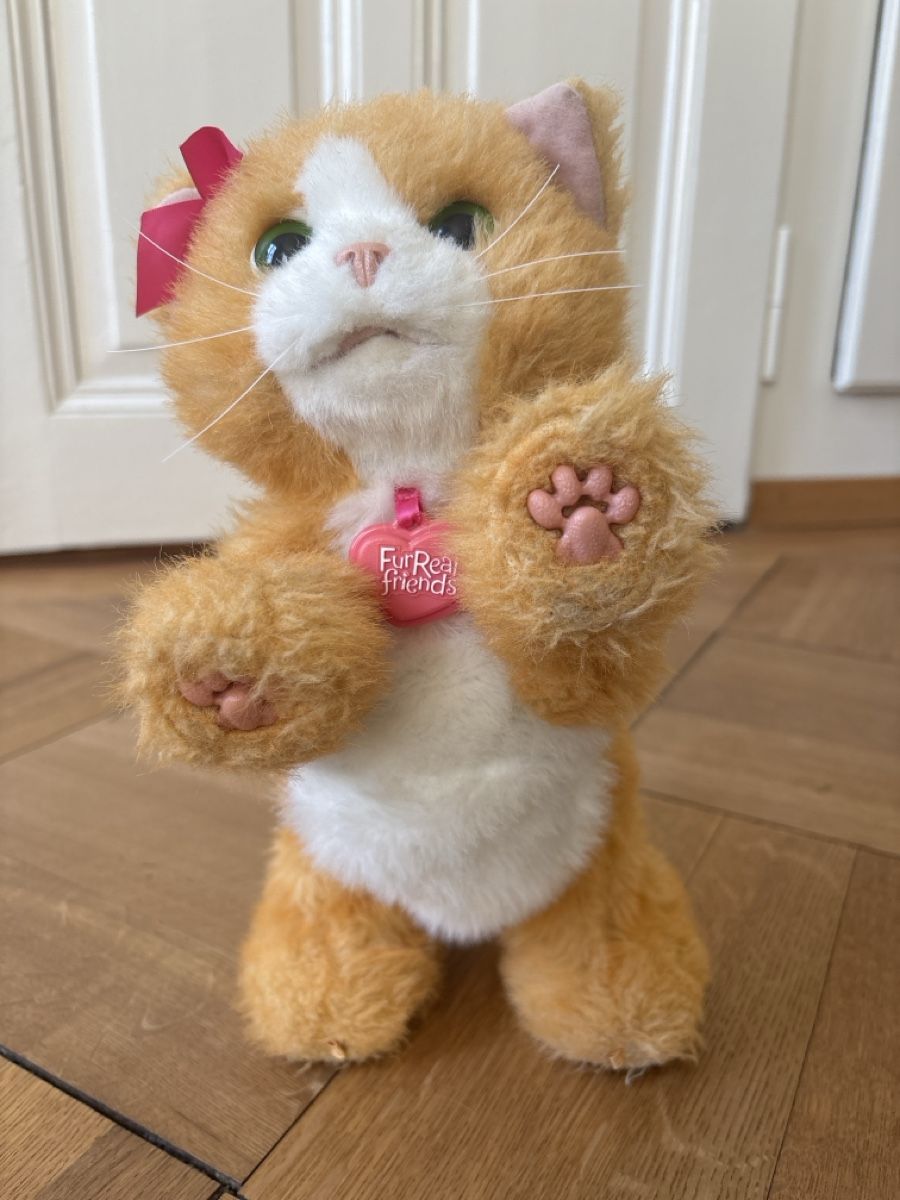 FurReal Giocattoli: FurReal friends Katze – Usato da Bern venduto da 24Sonne24