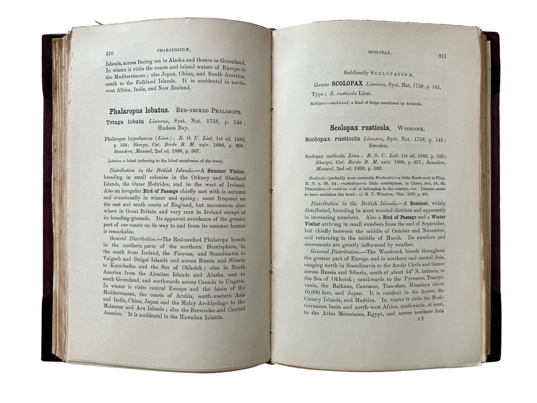 Libri: Ornithological book with Belltrees binding, 1915 – Usato da Uster venduto da TricottetCollection 5