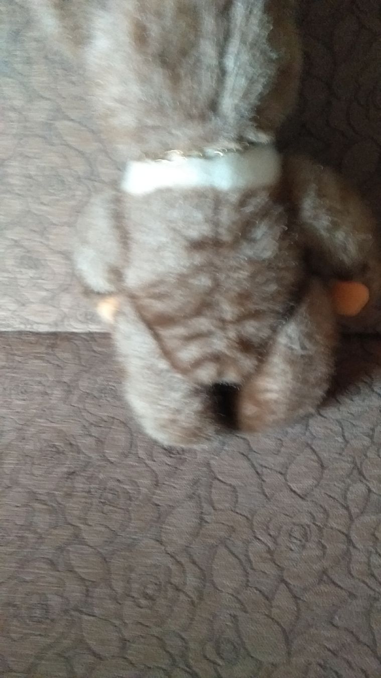 Teddy Hermann Spielzeuge: Hermann Teddy – Gebraucht aus Wünnewil von 04Blume 5