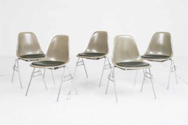 Vitra / Herman Miller Fiberglass DSS Side Chair von Eames