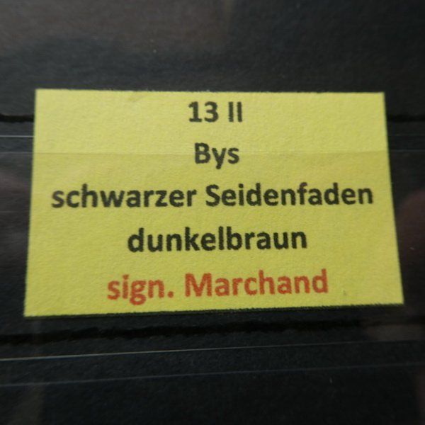 Tutti i francobolli: STRUBEL°  13 II Bys  sign. Marchand – Usato da Egliswil venduto da Trens01 3