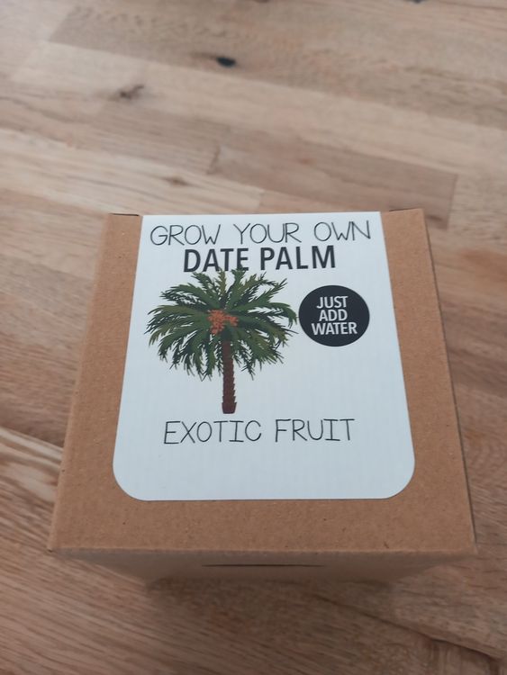 Pflanzen Samen Datteln. TOLLE GESCHENKIDEE | Kaufen auf Ricardo