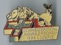 Hasen Pin