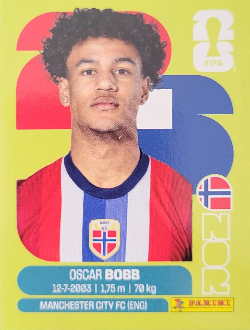 Panini Carte collezionabili: Panini FIFA World Cup NOR 20 – Nuovo (secondo la descrizione) da Wallisellen venduto da never_give_up