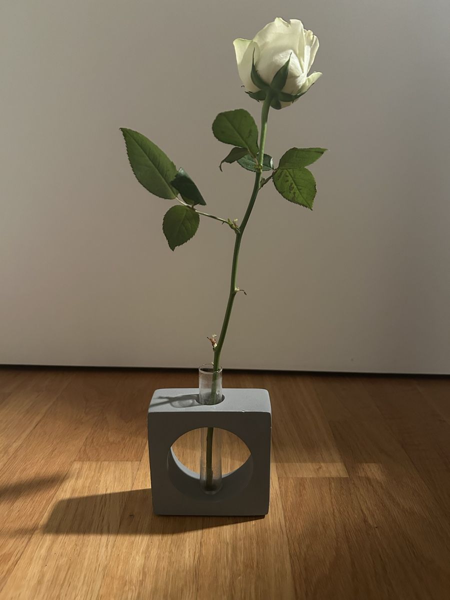 Vasi & Recipienti: Dekorative Einzelblumen-Vase aus Beton – Nuovo (secondo la descrizione) da St. Gallen venduto da Falcone