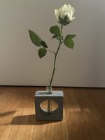 Dekorative Einzelblumen-Vase aus Beton