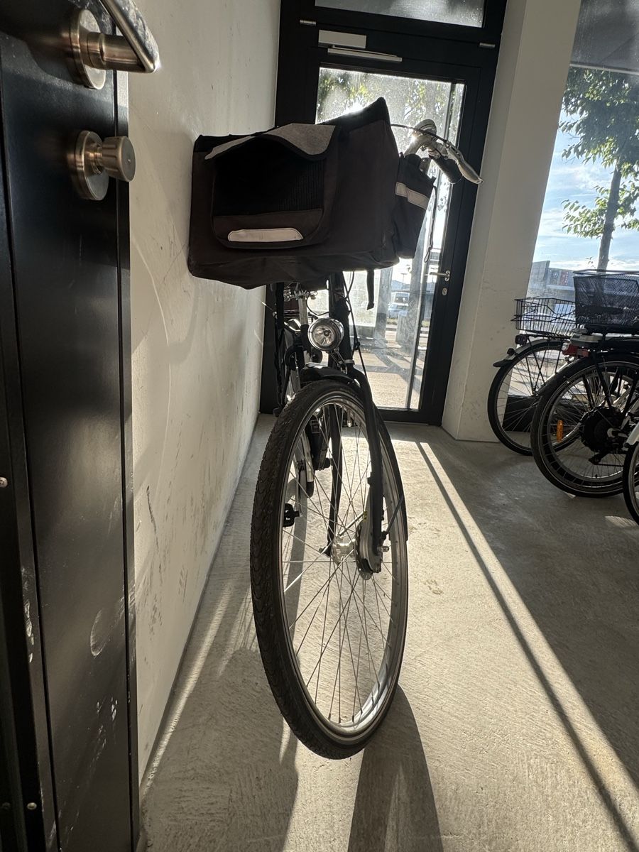 Batavus Biciclette: Batavus Old Dutch from 2020 – Usato da Schlieren venduto da mel_sn7c 1
