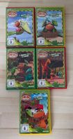 Dino Zug DVD's Staffel 1-3