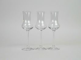 Grappagläser-Set