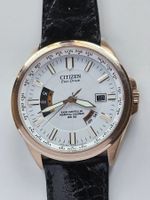 7 Citizen Eco-Drive Worldtimer Perpetual Calendar