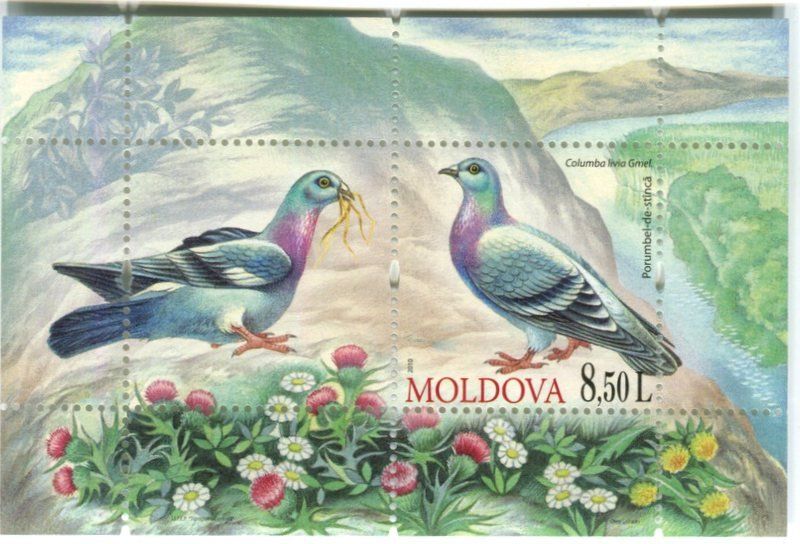 Tous les timbres: Block "Tauben". Moldawien. – Neuf avec emballage d'origine à Basel par Butsch5