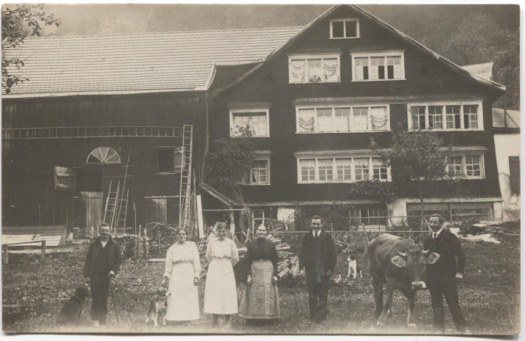 Cartoline postali: BAUERNHAUS/LANDWIRTSCHAFT 1910 APPENZELL oder RHEINTAL – Usato da Wil SG venduto da Clanx