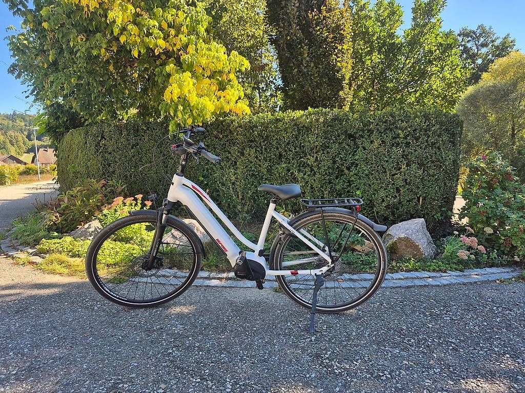 Biciclette: E Bike – Usato da Unterentfelden venduto da DFH