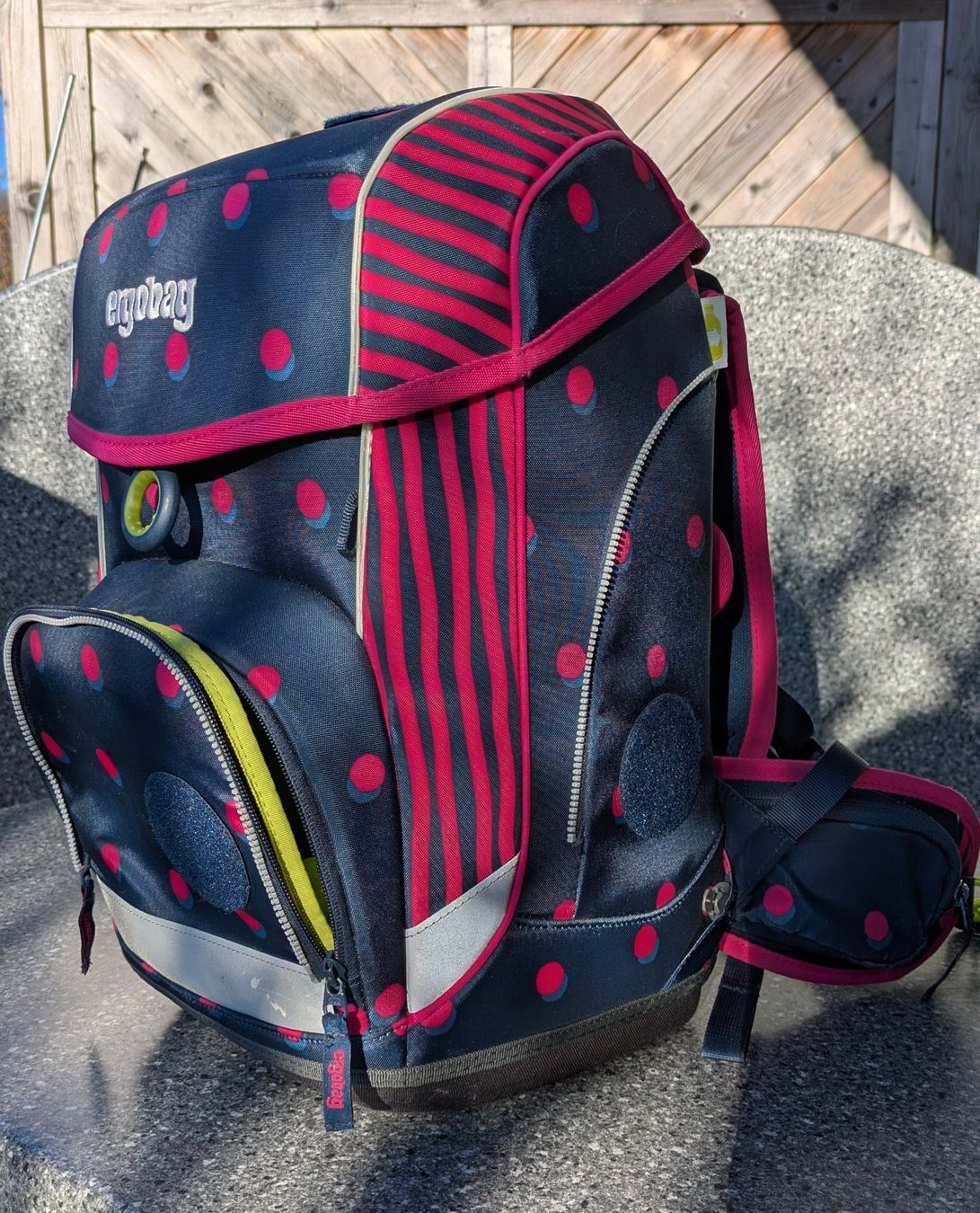 Borse & Zaini: Ergobag Cubo Schubidubär – Usato da Otelfingen venduto da sonneli6 3