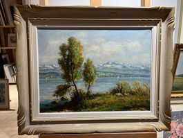 Originales Ölgemälde Zürichsee bei Bäch von Ducret 1957