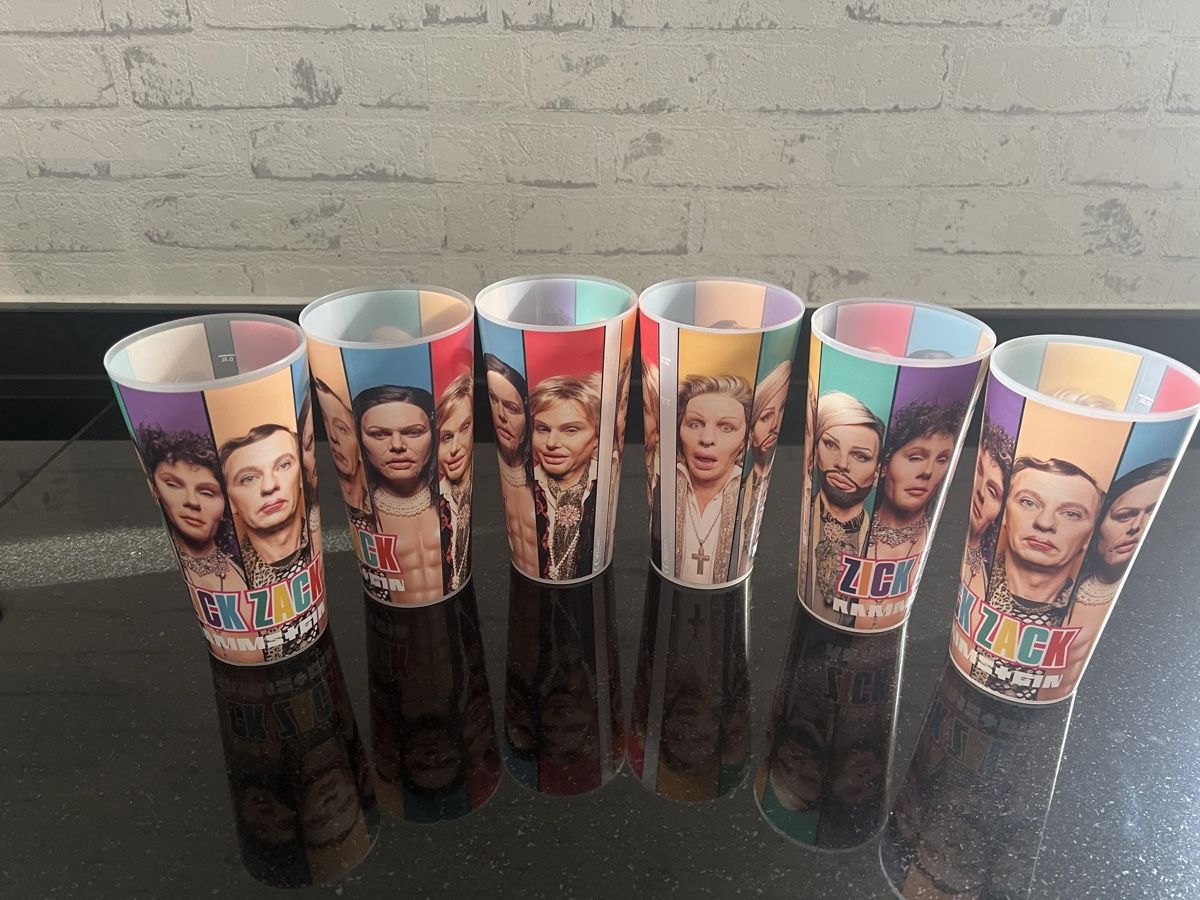 Contenitori & Simili: Rammstein Tourbecher Zickzack 6 Stück – Usato da Buckten venduto da Dominoluna