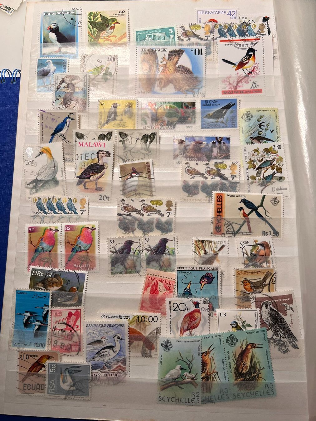 Tutti i francobolli: BRIEFMARKE VÖGEL LOT – Usato da Riva san vitale venduto da abd_p86k 1