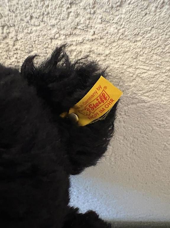 Giocattoli: Steiff Teddybär schwarz 005985 – Usato da Schmitten FR venduto da Chili58 1