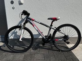 Cannondale Race 24 Zoll Girls (L)