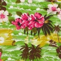 Profile image of Hawaiidad65
