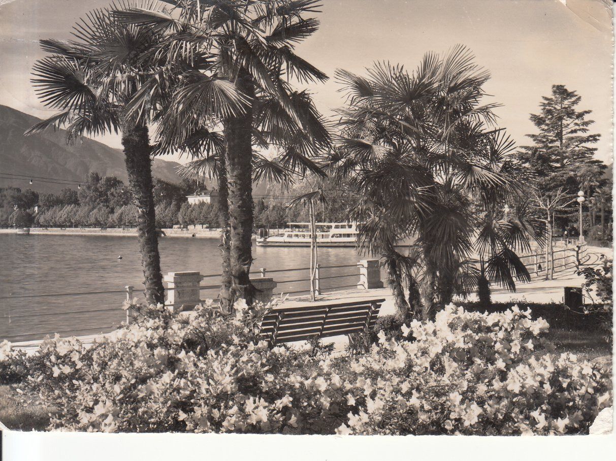 Cartoline postali: Locarno 1953 – Usato da Bürglen TG venduto da StampGraf