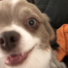 Profile image of Ggomez54