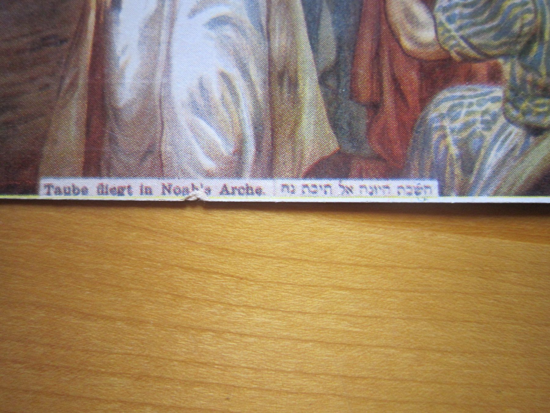 Ansichtskarten: No 17 antike Postkarte Noah Arche – Gebraucht aus Gordola von Polentaefung 2