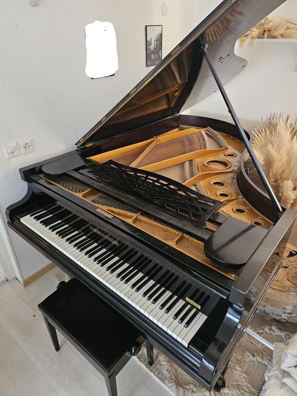 Strumenti musicali: Piano à queue C. BECHSTEIN, Modèle B – Usato da Le Mouret venduto da Poesje61