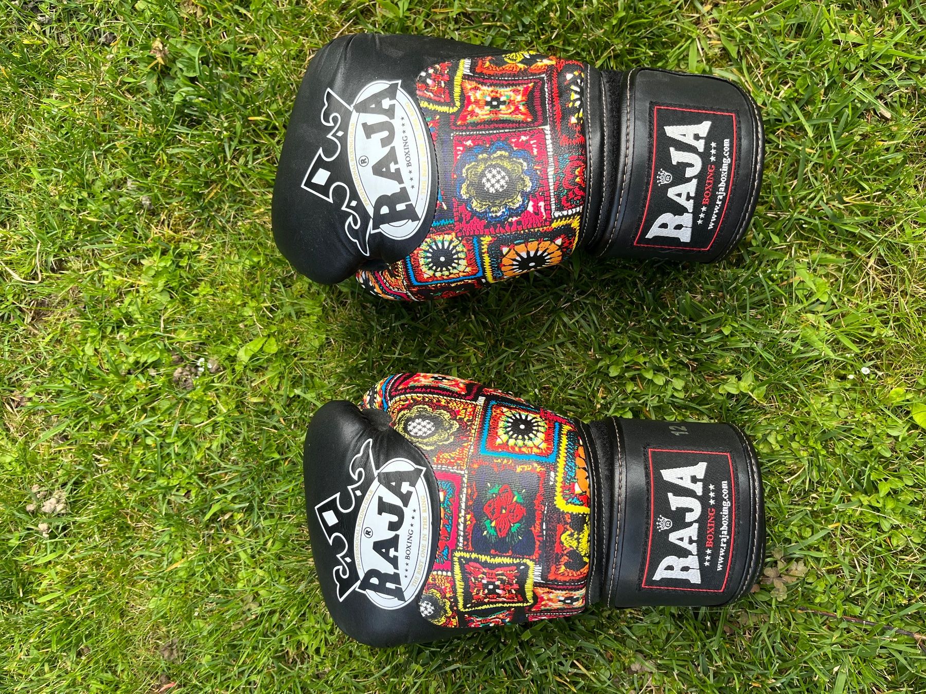 Guanti & manicotti: Boxhandschuhe 12 OZ – Usato da Lenzburg venduto da r_mendes 2