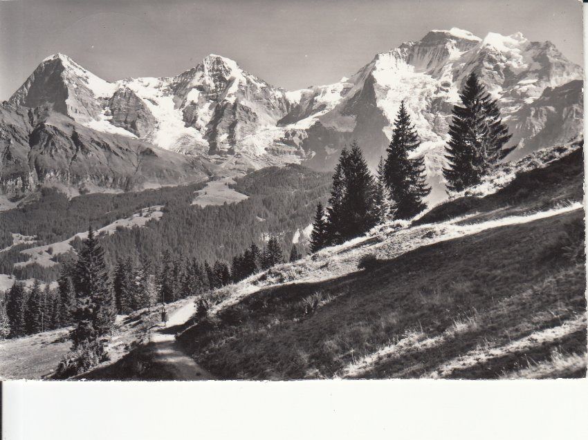 Cartoline postali: Grütschalp 1964 – Usato da Bürglen TG venduto da StampGraf
