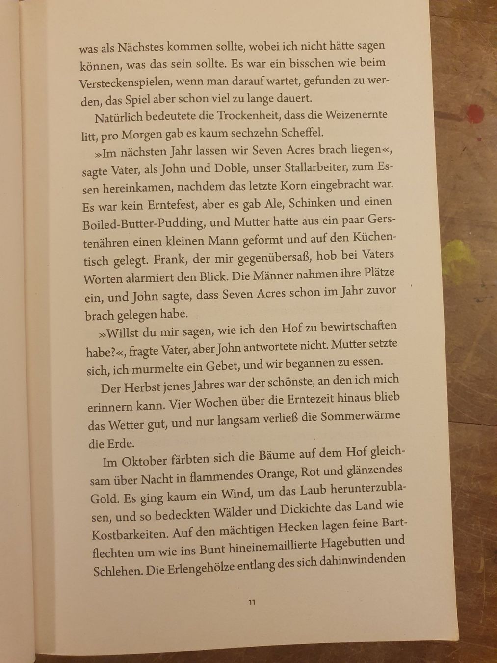 Libri: Vom Ende eines Sommers - Melissa Harrison - Dumont – Usato da Zürich venduto da loosebone 8