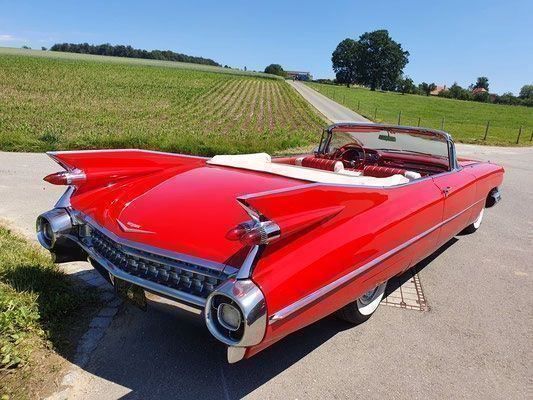 Cadillac Automobili: Cadillac 1959 Cabriolet - Mieten möglich – Usato da Cressier FR venduto da Rzmstar 1