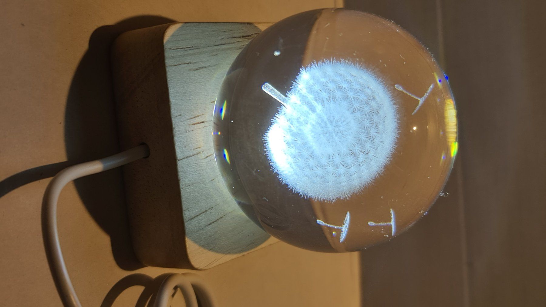 Tutte le decorazioni: 3D Löwenzahn Gravierte Globus 60mm – Nuovo (secondo la descrizione) da Uerkheim venduto da Kaufoption 6