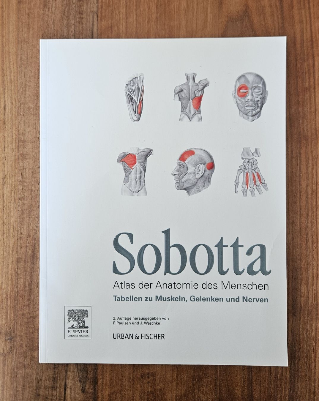 Libri: Anatomie Atlas / Sobotta – Usato da Solothurn venduto da yoganer 4